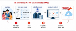 BIWASE TỐI ƯU HOÁ